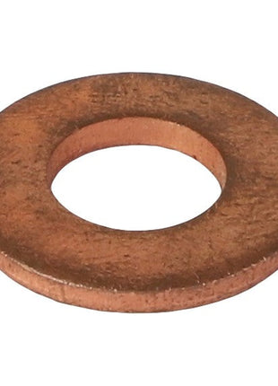 AGCO | SEALING WASHER - D45713600