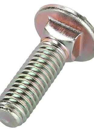 Close-up of an AGCO Carriage Bolt (AG556289) featuring a threaded shaft and a domed, flat head. No current product description information is available.