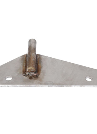 The AGCO | TORQUE ARM - AG722876, a flat, triangular metal bracket with a vertical cylindrical pin welded to it, features two holes near the edges for mounting. Currently, no additional product description information is available.