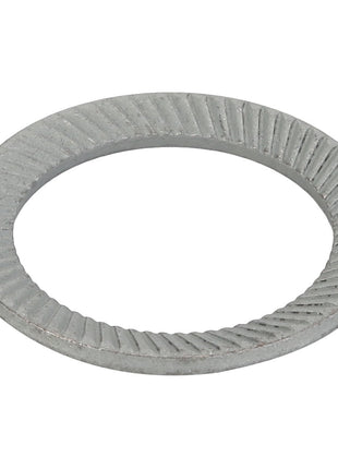 AGCO | SPRING - D41102000