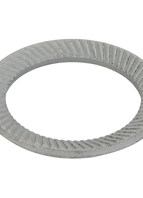 AGCO | SPRING - D41102000