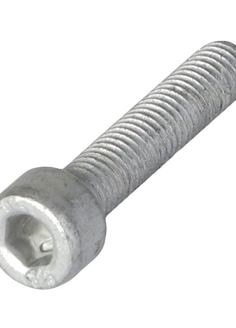 No current product description information is available, but the AGCO Socket Head Setscrew - Acw1494310, branded by AGCO, with a metallic hex socket head cap and a threaded shaft is shown against a white background.