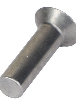 Massey Ferguson - Rivet Head - 29140X - 480835M91