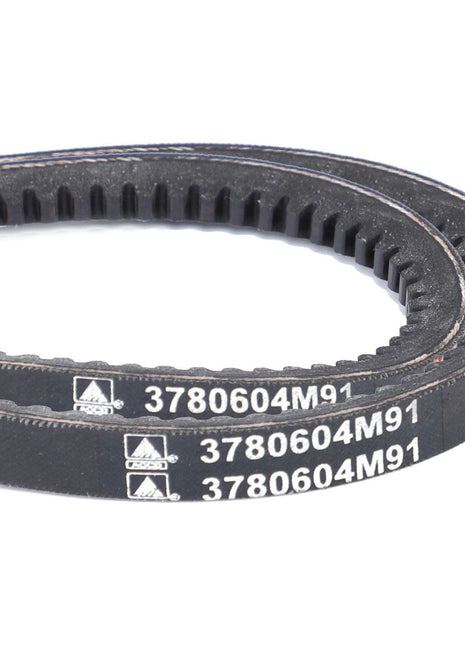 AGCO | V-Belt, Sold As A Matched Pair - 3780604M91 - Massey Tractor Parts