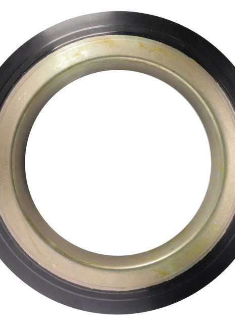 AGCO | Oil Seal, Final Drive - 4305911M1 - Massey Tractor Parts