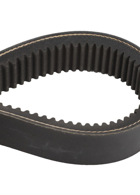 Close-up of the AGCO BELT - D41994300, a black toothed rubber timing belt, against a white background. Product description information is currently unavailable.