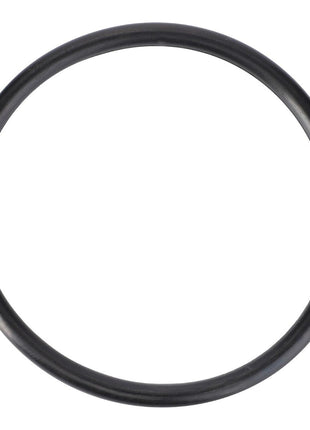 AGCO | O-Ring, Hydraulics - 70923579 - Massey Tractor Parts