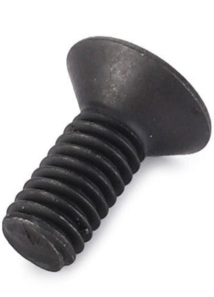 A solitary AGCO | Screw - Va020480 against a stark white background, its contrast drawing attention to every precise thread and sharp edge.