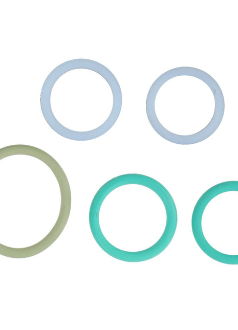 AGCO | SEAL KIT - F916100430010