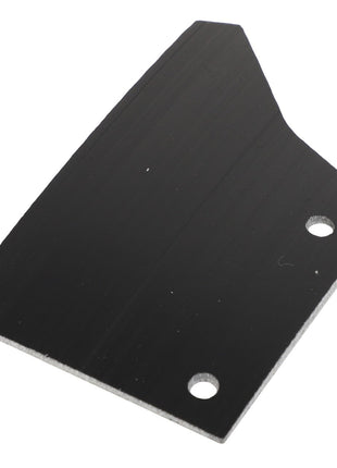 A black, triangular metal plate with two circular holes from the AGCO brand, known as the Seal - Acw923881A. No current product description information available.