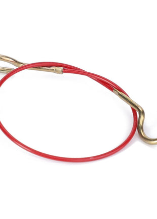 AGCO | Rope - H716921050030 - Massey Tractor Parts