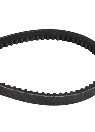 AGCO | BELT - D41990021