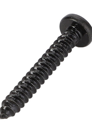 The AGCO Bolt - Acp0488980, a black screw with a round head, sharp threads, and a pointed tip, is showcased against a white background.