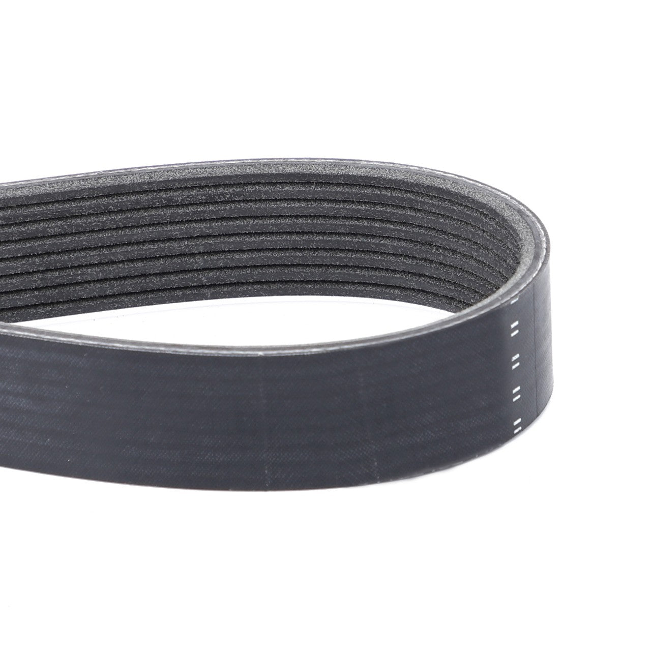 Close-up of the AGCO Genuine Serpentine Belt (F954200040020) in a black, ribbed Pk8 profile, forming a loop shape against a white background.