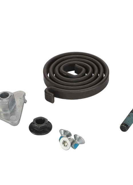 Assortment of AGCO metal hardware including a LEG SPRING - F930500030330, bolt with blue thread lock, two small screws, a hex nut, and a triangular-shaped metal bracket. No current product description.