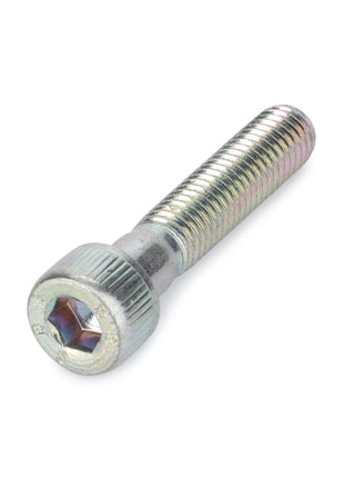 An AGCO | Hex Socket Screw - 391136X1, with a silver hex socket head and threaded body, photographed against a white background.