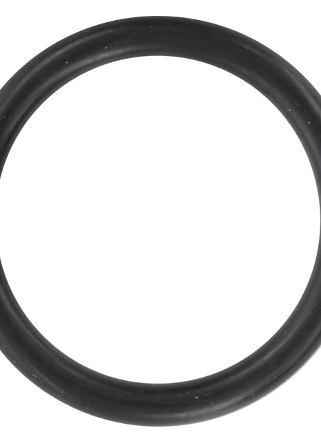 The AGCO O-Ring (F339300020130), a sleek black rubber component, is displayed against a pristine white background.
