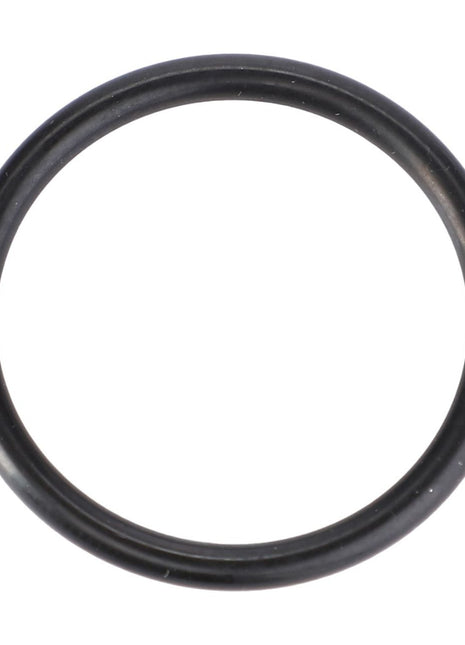 AGCO | O-Ring, Ø 24 X 2,5 Mm - X548871466000 - Massey Tractor Parts
