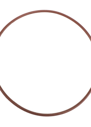 An AGCO O-Ring (Acw4024980), identifiable by its circular brown rubber design, distinctly isolated on a pristine white background.