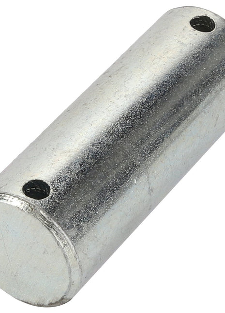 A cylindrical metal rod with two small holes on opposite ends. Current product description: "AGCO | Pin - Acp0027680" by AGCO.