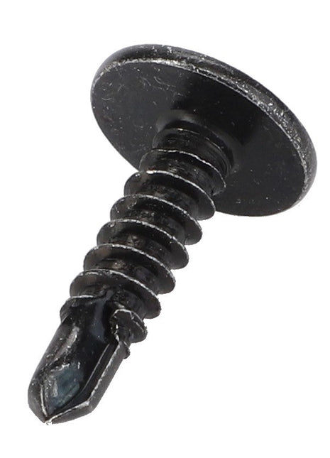 Close-up image of an AGCO Self Taping Screw - Acx2829610, featuring a black metal construction with a flat head and self-tapping tip against a white background. No current product description information is available.
