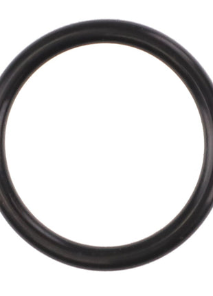 A close-up view of the AGCO O-RING - AG331737, a black circular rubber sealing component, sits against a white background. Please note, no current product description information is available.