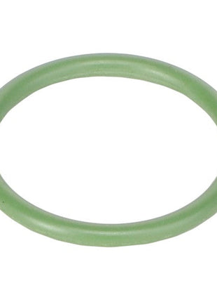 A green AGCO rubber O-ring (Acw4969130) is displayed against a white background, with no current product description information available.