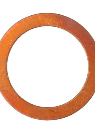 AGCO Seal - 3007189X1: An orange, circular washer branded by AGCO, exhibiting visible signs of wear and scratches on its surface. No current product description available.