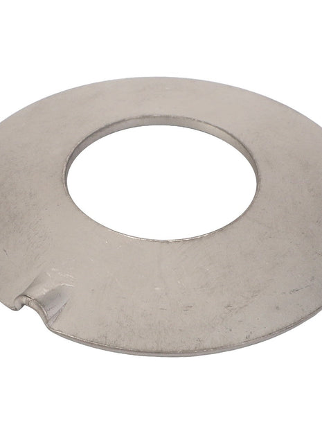 AGCO | Thrust Washer - F184108010060 - Farming Parts