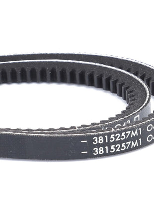 AGCO | V-Belt, Sold As A Matched Pair - 3815257M1 - Massey Tractor Parts