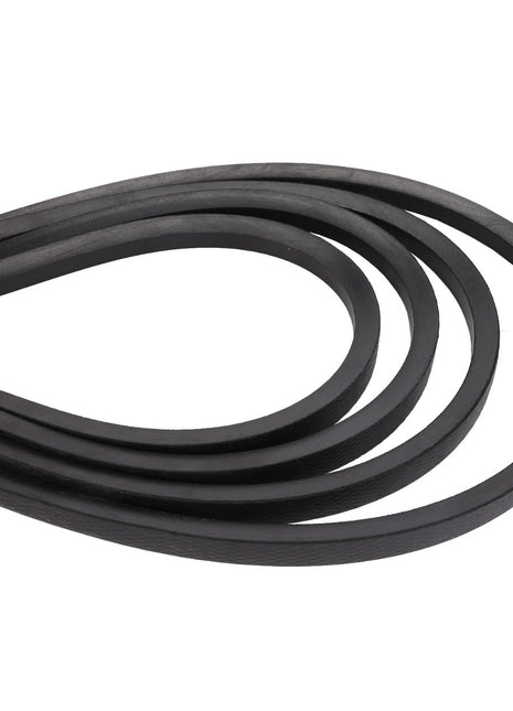 A close-up image of the AGCO KIT, BELT - D41982000 in black, looped in multiple curves, typically used in automotive engines.