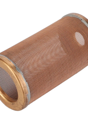 Close-up image of the AGCO PRIMARY AIR FILTER ELEMENT - D28781831, featuring a cylindrical metallic mesh filter with brass-colored ends and a small circular hole on the side. No current product description information is available.