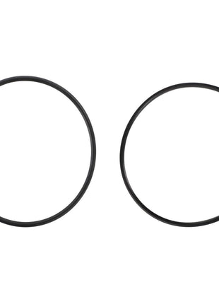 Two black rubber O-rings from the AGCO Seals Kit - Acp0441350 are arranged side by side on a white background, but there is no information available in the product description to identify relevant SEO keywords.