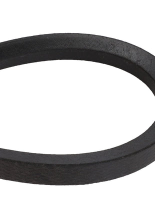 AGCO | BELT - D41958600