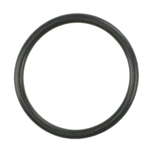 Product Name: AGCO | O RING - AG519377

A circular black rubber O-ring, used as a sealing gasket. No current product description information is available.