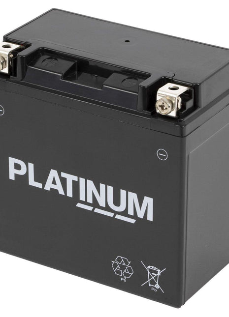 Platinum International Battery - 3933352M1 - Massey Tractor Parts