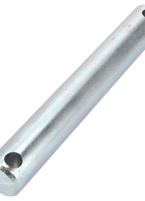 AGCO | Hinge Pin - Acp0013030 - Farming Parts