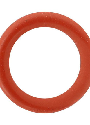 AGCO | O Ring - 3637198M1 - Massey Tractor Parts