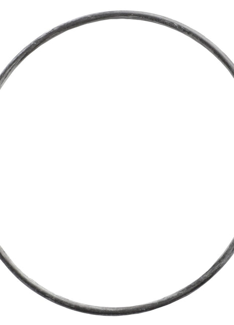 A thin, circular AGCO O RING - 0.010.2427.0 with a smooth, unadorned surface against a white background. For any product questions, please don't hesitate to contact support.