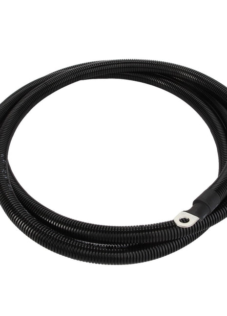 AGCO's CABLE - D28785917 is a coiled black cable featuring metal loops on each end.