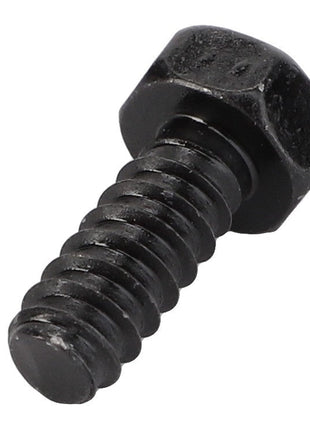 AGCO | Hex Tapping Screw - Acw2920430 - Farming Parts