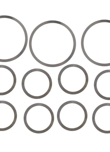 AGCO | SHIM - F835300020590