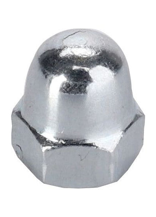 AGCO | Blind Nut - 3010594X1 - Massey Tractor Parts