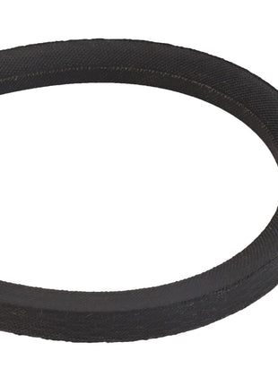 Close-up of the AGCO BELT - D41996100, a black, textured rubber belt looped into a perfect circle against a stark white background.