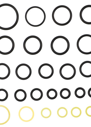A selection of AGCO black and yellow O-rings of various sizes, labeled as KIT, JOINT - AL10550074, is arranged in a grid pattern against a white background. No current product description information is available.
