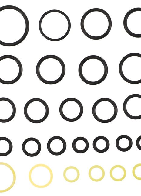 A selection of AGCO black and yellow O-rings of various sizes, labeled as KIT, JOINT - AL10550074, is arranged in a grid pattern against a white background. No current product description information is available.