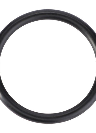 AGCO | O-Ring, Female Coupler, Ø 19,30 X 2,20 Mm - Acp0230500 - Massey Tractor Parts