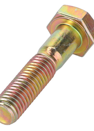 A metallic hexagonal bolt with a threaded shaft is shown: AGCO | Hexagonal Head Bolt - 3009496X1, by AGCO.