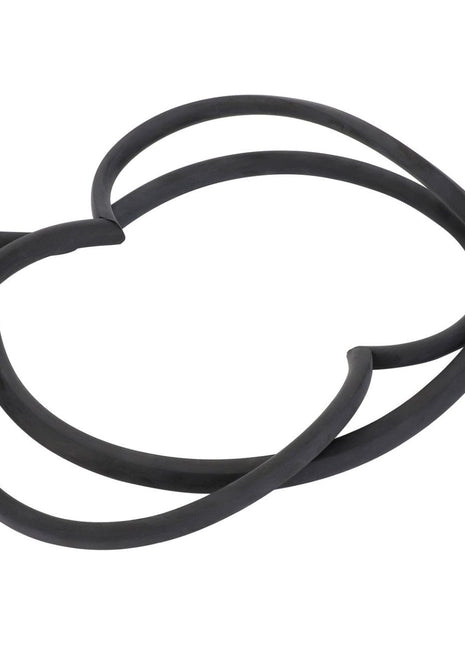 AGCO | Left Hand Seal - 3900619M1 - Massey Tractor Parts