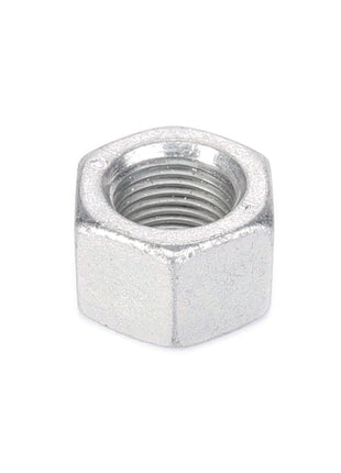 Here's an updated version of the sentence using the given product data:

A close-up view of the AGCO Hex Nut - 3009748X1, a silver hexagonal metal nut with threaded inner bore, used for fastening onto bolts. No current product description available.